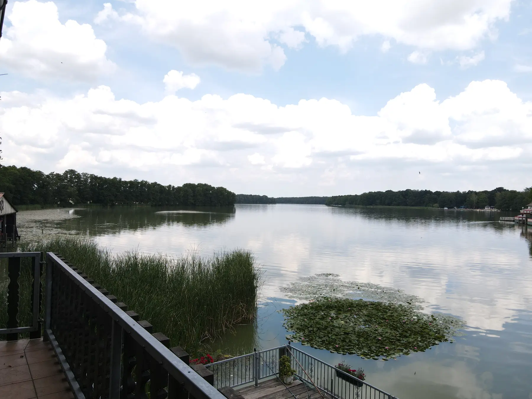 Weiter Seeblick vom Balkon der See-Idylle
